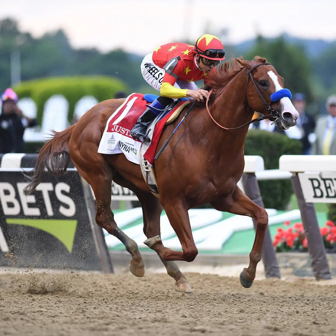 Justify was awarded the horse of the Year by Eclipse Awards.