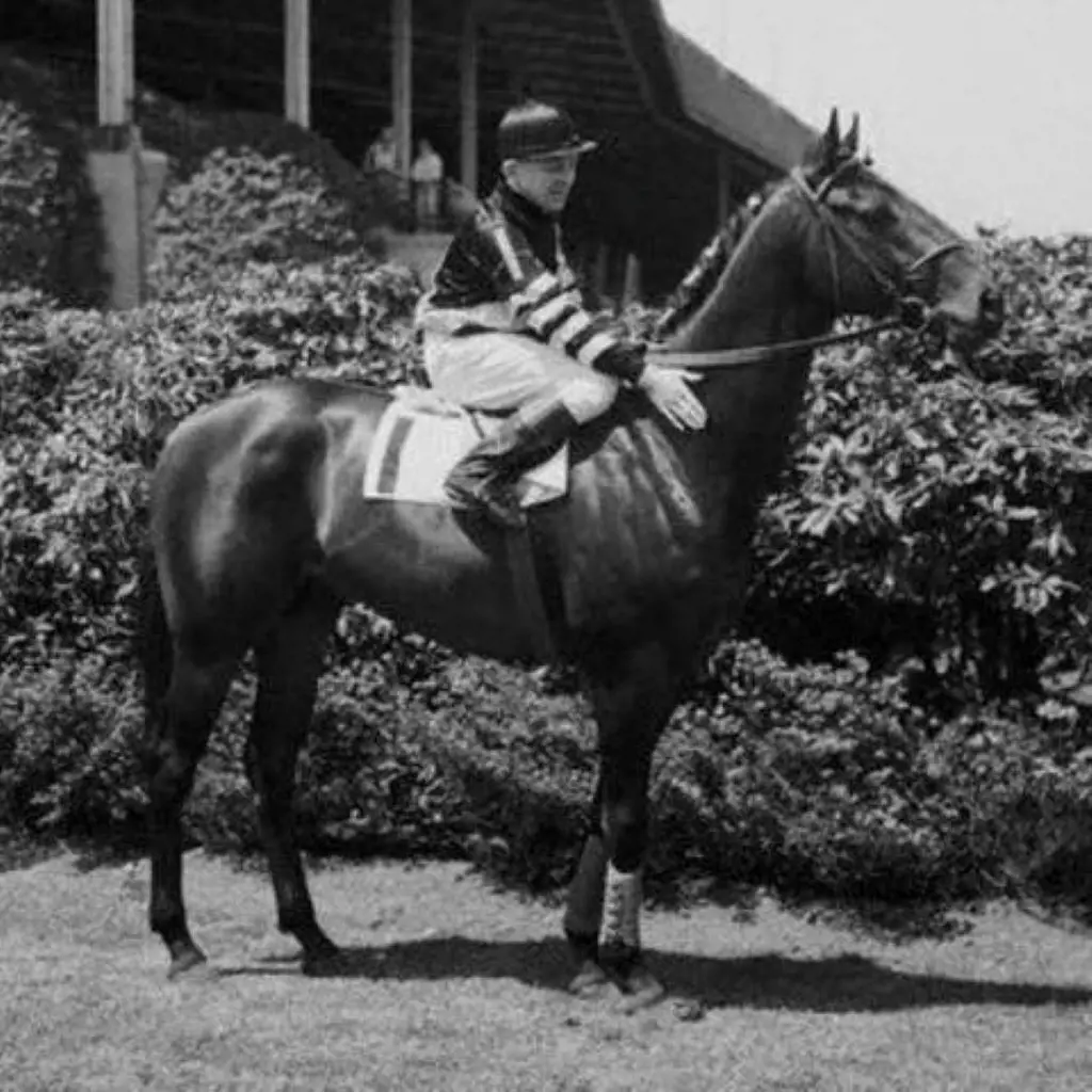War Admiral one of the toughest horses in history was known to hate riders the besides his palpable trainer.