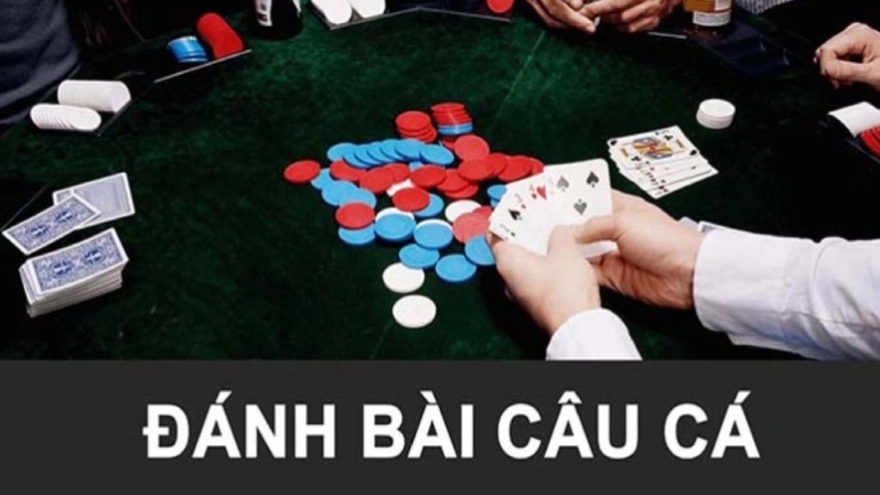 Hướng dẫn chi tiết cách chơi bài câu cá cho người mới bắt đầu