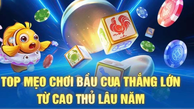 Mẹo chơi bầu cua luôn thắng từ cao thủ